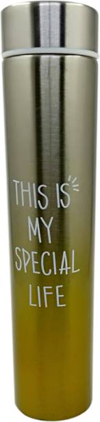Spartan Collection Stainless Steel slim tall Water Bott...