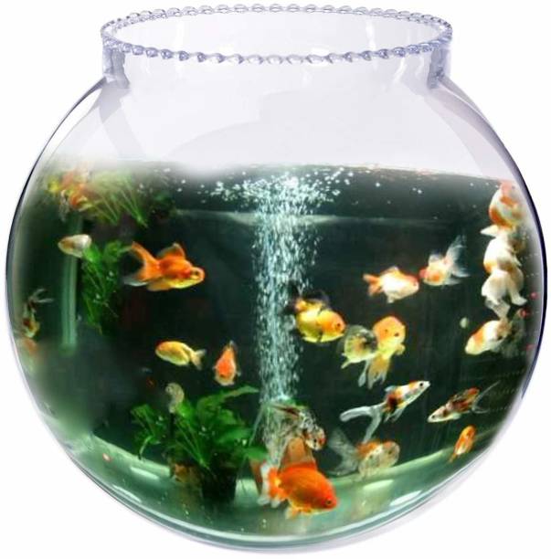 SAVORADE Glass Fish Tank for Small Betta Fish & Plants tank_14i(14 INCH) Round Ends Aquarium Tank