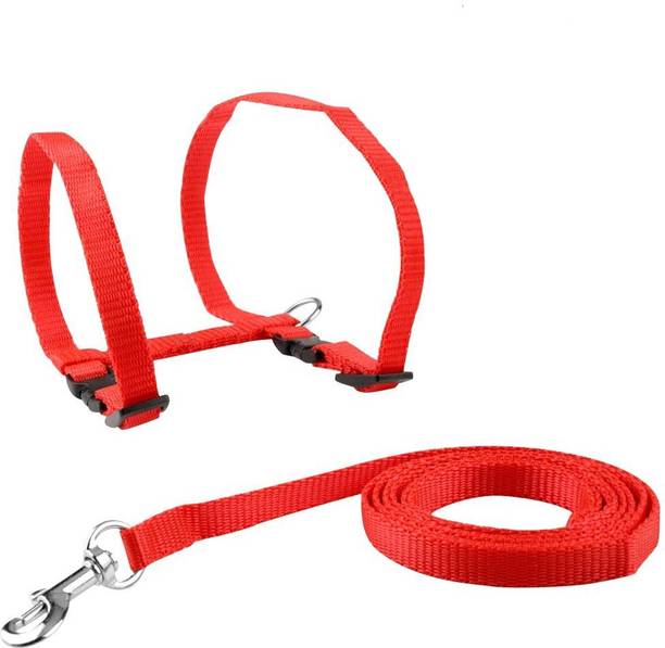 Kids Rakhi Cat Collars Buy Kids Rakhi Cat Collars Online At Best