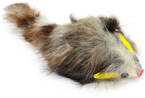 Pooch Box Cat Toys Buy Pooch Box Cat Toys Online At Best Prices