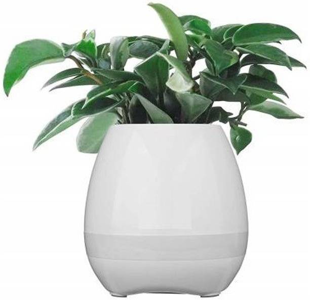 Ps Vita Speakers Buy Ps Vita Speakers Online At Best Prices In India Flipkart Com