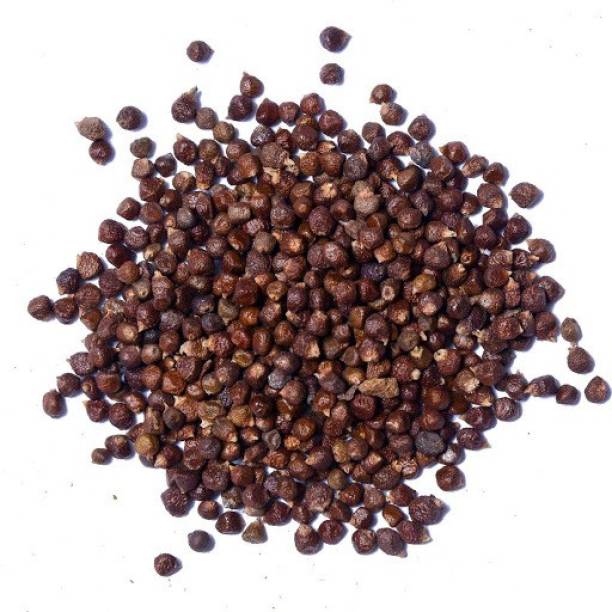 Creative Nature Tumbru Beej/Beej Tomar/Timur/Tomru Seeds/Nepali Dhania/Zanthoxylum Alatum (100 Gram Per Pack) Seed
