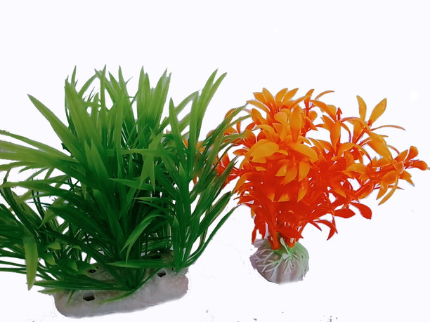 Aquarium cheap accessories cheap