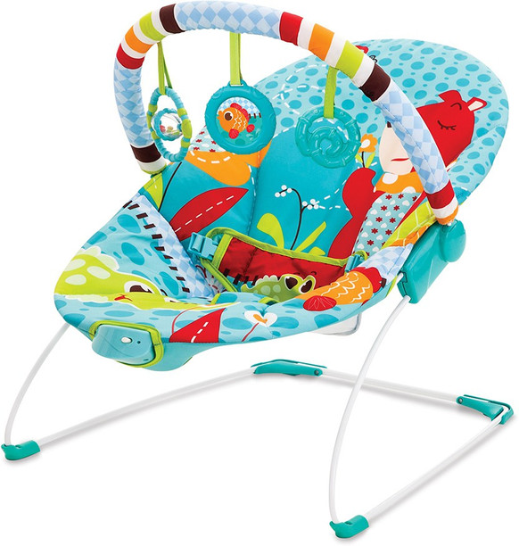 buy baby bouncer online