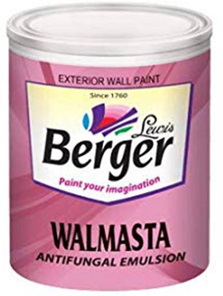 Gangaur Wall Paints Buy Gangaur Wall Paints Online At Best Prices In India Flipkart Com