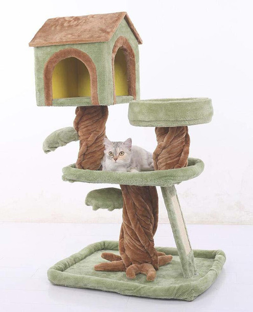 cat house online