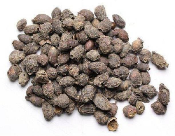 Creative Nature Jamun Guthli/Jaamun Seeds/Syzygium Cumini (200 gram Per Pack) Seed