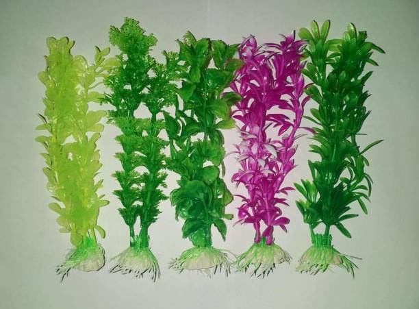 Aquarium Accessories Buy Aquarium Accessories Online At Best