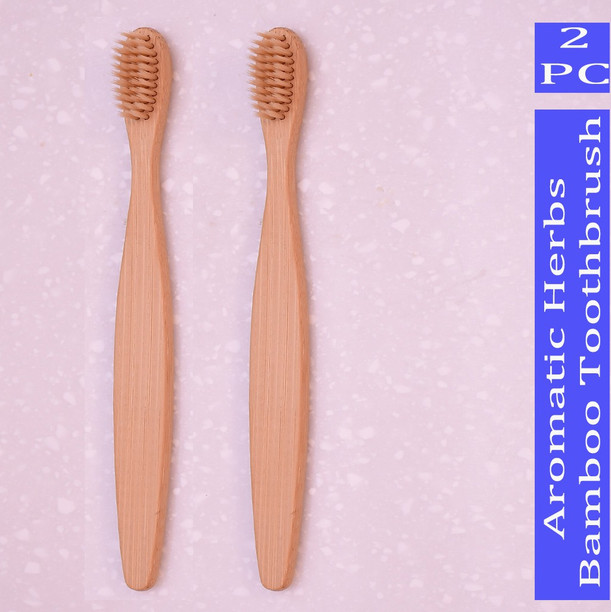 ajanta toothbrush price