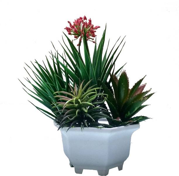 Wooden Artificial Plants Buy Wooden Artificial Plants Online At Best Prices In India Flipkart Com