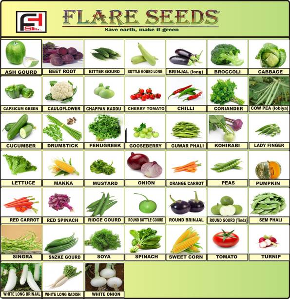 A Bonsai Plant Seeds Buy A Bonsai Plant Seeds Online At Best Prices In India Flipkart Com