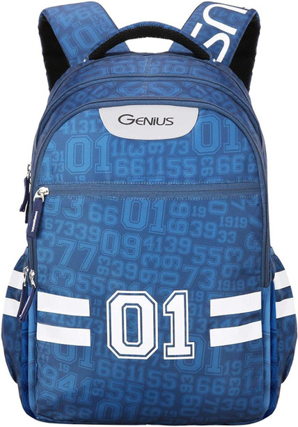 genius bags flipkart