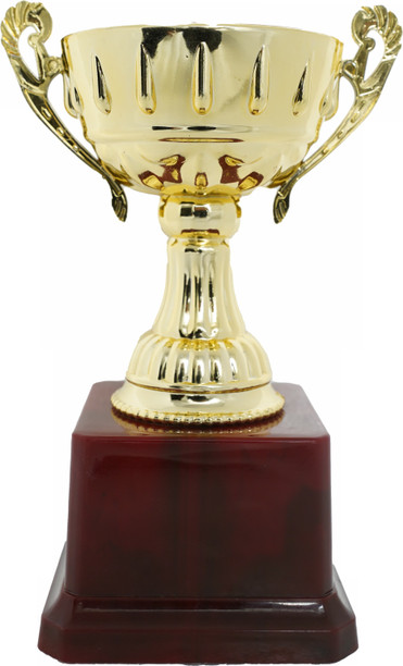 sports cup prices