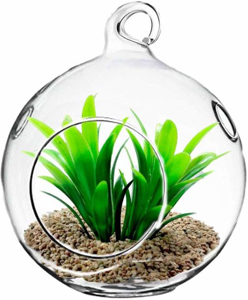 DESHILP OVERSEAS Hanging Glass Globe Plant Terrariums - Glass Orbs Air Plants Tea Light Candle Holders Succulents Moss Miniature Home Decor Indoor Garden DIY Gifts with Plants and Sand(4" Diameter) Glass Vase