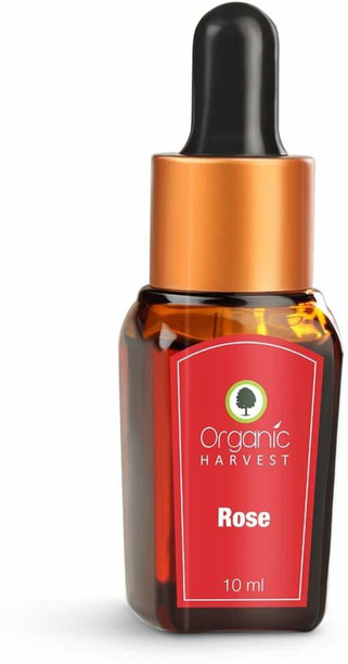 anker soundcore flipkart