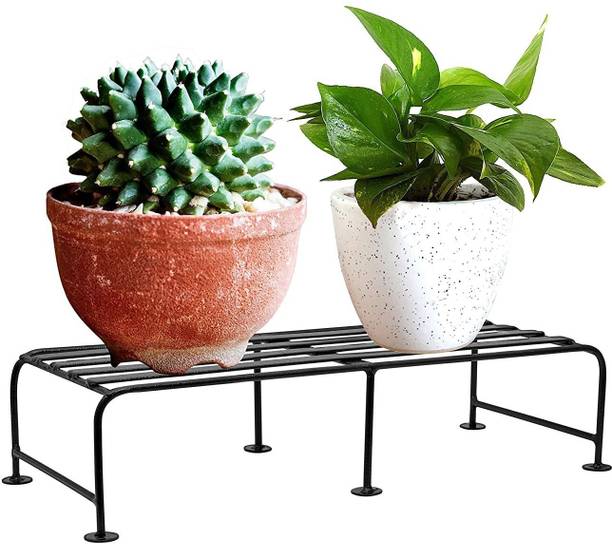 Rudraksh Plant Containers Buy Rudraksh Plant Containers Online At Best Prices In India Flipkart Com
