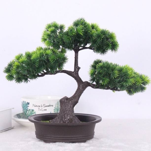 TIED RIBBONS Decorative Showpiece for Home Bedroom Office Table Bonsai Artificial Plant  with Pot