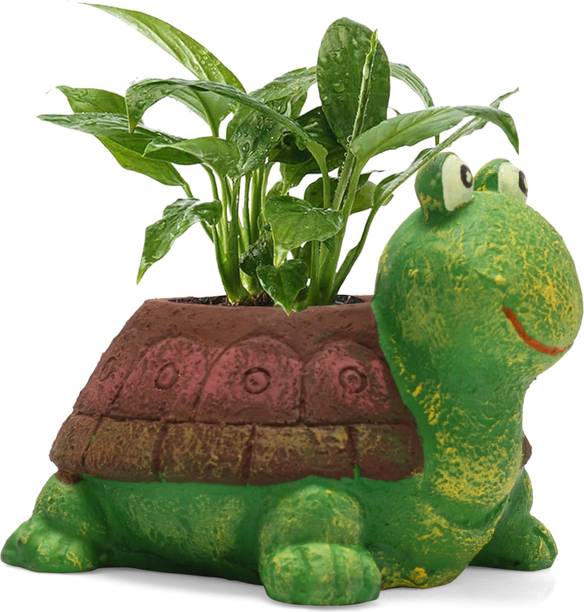 Trinetra Plant Containers Online At Best Prices On Flipkart
