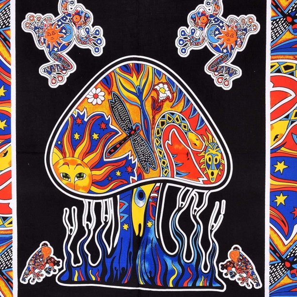 Twin Size Tapestry Mushroom and Frogs54 x 86Made In India 