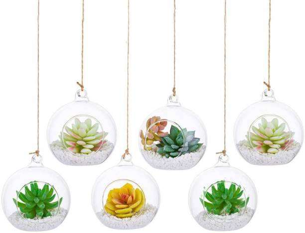 Vijyas Hanging Glass Globe Plant Terrariums - Glass Orbs Air Plants Tea Light Candle Holders Succulents Moss Miniature Home Decor Indoor Garden DIY Gifts with Plants and Sand Borosilicate Glass Vase