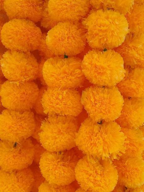 KIANO Artificial Marigold Fluffy Flowers Garlands for Decoration - (Pack of 5) (Mustard Yellow) Toran