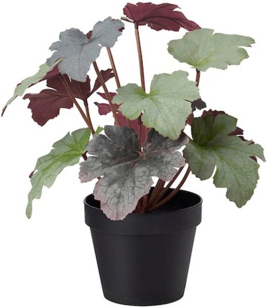 Ikea Artificial Plants Buy Ikea Artificial Plants Online At Best Prices In India Flipkart Com