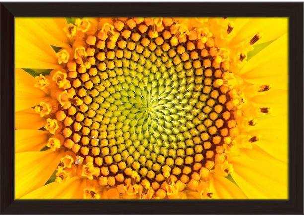 Yellow Sunflower Paper Poster Dark Brown Frame | Top Acrylic Glass 19inch x 13inch (48.3cms x 33cms) Paper Print