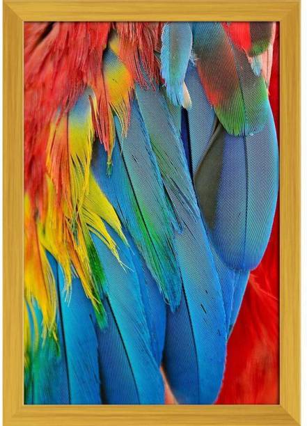 Scarlet Macaw Feathers D1 Paper Poster Golden Frame | Top Acrylic Glass 13inch x 19inch (33cms x 48.3cms) Paper Print