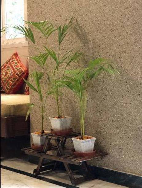 Arif INT Solid Wood Outdoor Table