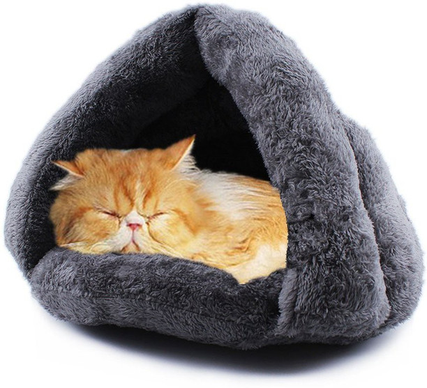 cat beds online