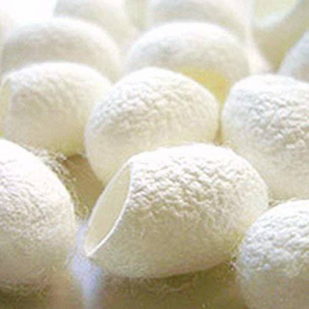 PMW Cocoons - Natural White Silkworm Cocoons for Exfoliating and Cleansing - White - 10 Pieces Makeup Remover