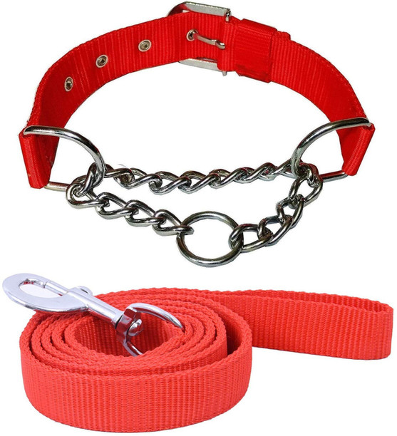 dog belt online
