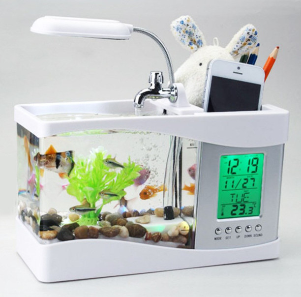 fish tank cost