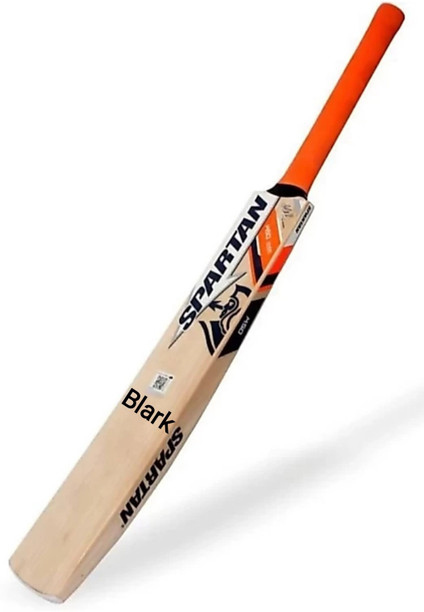 flipkart bat and ball