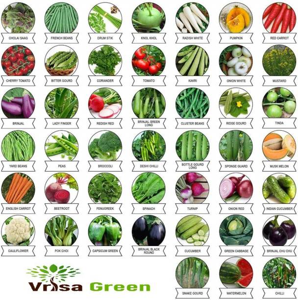 Vrisa Green Vegetable Seeds Combo 45 Varieties Seed