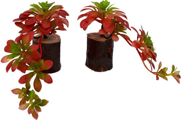 fancymart Artificial Succulents (set of 2) with wood log (Height 15 CM) Wild Artificial Plant  with Pot