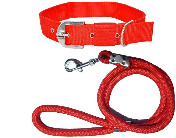 dog belt online flipkart