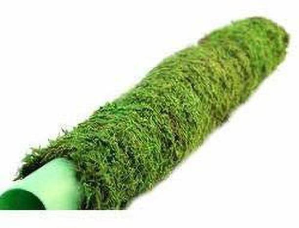 Tijiko Moss Stick for Indoor,House & Money Plant Support Garden Mulch