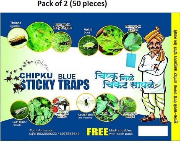 Chipku Blue Sticky Trap for Smaller Insects in Garden & Farm Fly Trap/Insect Catcher/Sticky Pads for Insects, Aphids, Leaf Minor, Thriphs (50 Traps)