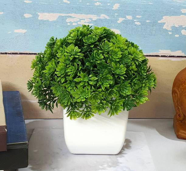 Plastic Flowers Vases Buy Plastic Flowers Vases Online at Best Prices