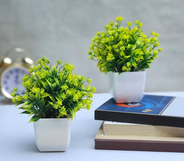 Home Decor Buy Home Decor and Festive Needs at Best Prices Online on Flipkart