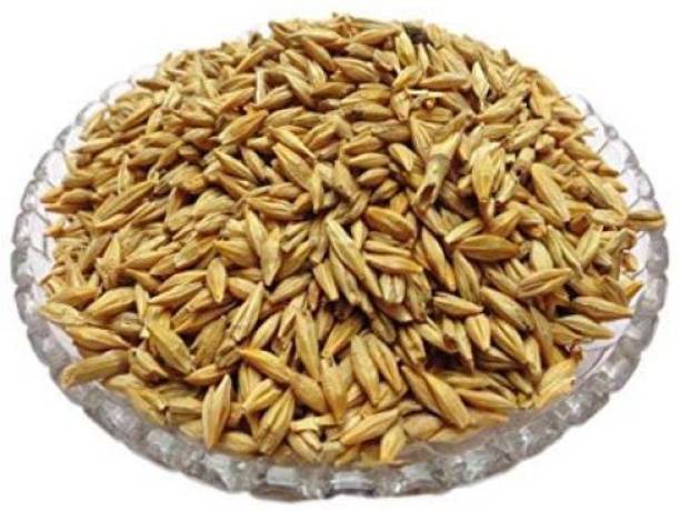 Organic World RAW Barley Seeds (Jau) (Pack of 200 Grams)