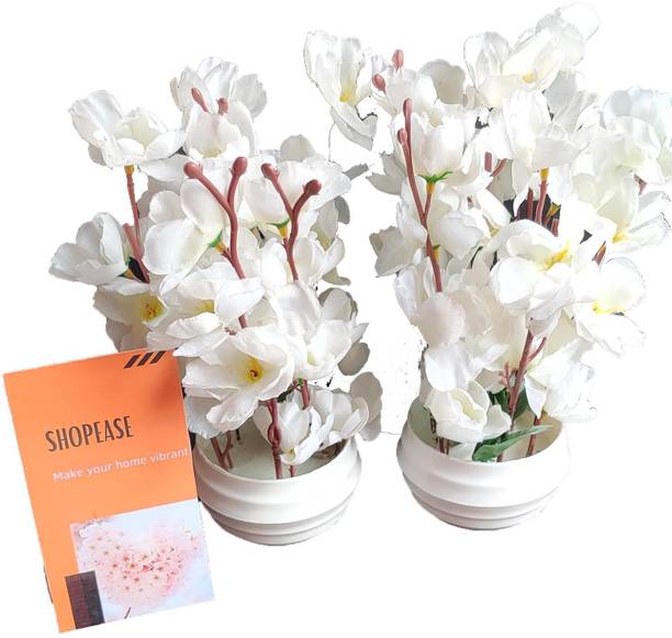 Shopease Home Decor Buy Shopease Home Decor Online at Best Prices In