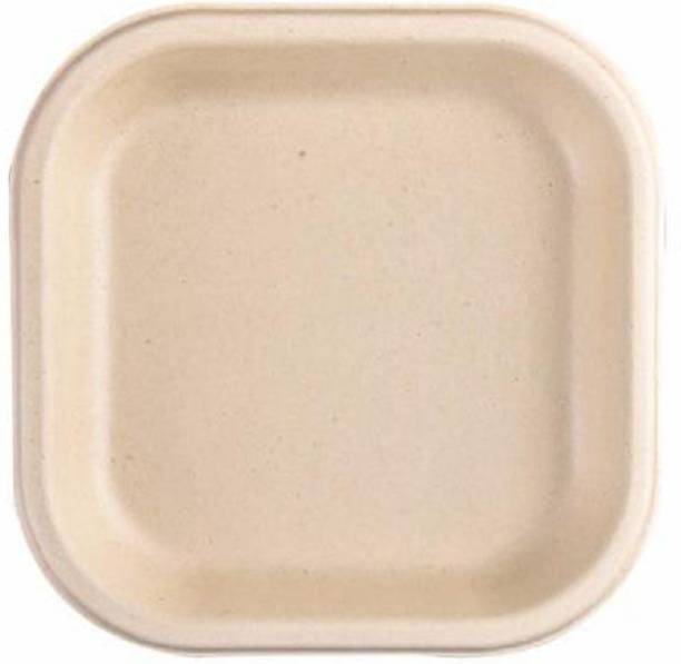 Modi Household Eco Friendly Disposable Biodegradable Meal/ Snack Plates (7 Inch) Dinner Plate