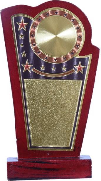 Sigaram 7 Inches Shield For Appreciation Gift,Sport, Academy, Awards K2131 Trophy