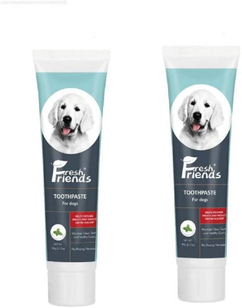 Fresh Friends Dog Toothpaste Mint Flavor 90g - with Bio Enzyme and Natural Ingredients Toothpaste for Dogs and Puppies - Pack of 2 Pet Toothpaste