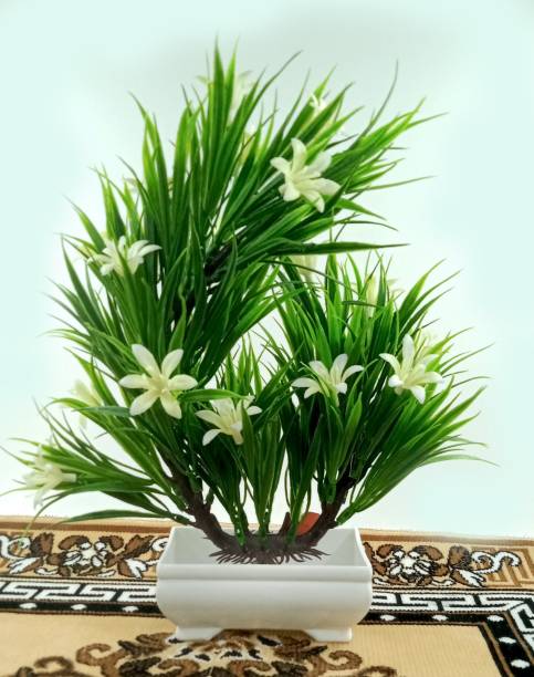 BearPaw Beautiful Plants for Home cum Office Decoration Bonsai Artificial Plant  with Pot