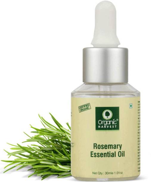 Organic Harvest Rosemary Essential Oil, Lighten Dark Spots, Promotes Hair Growth, Pure & Undiluted Therapeutic Grade Oil, Excellent for Aromatherapy,100% Organic, Paraben & Sulphate Free