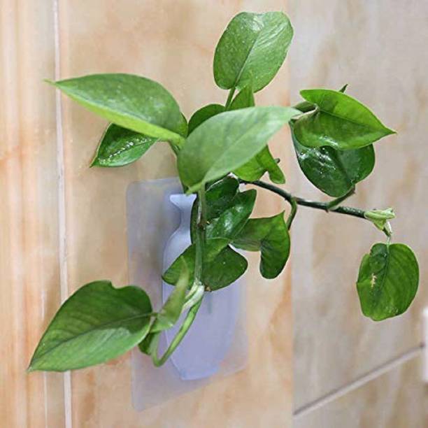 Kentoza Wall Hanging Silicone Flower Pot Sticker Plant Rack for Decoration Home Kitchen Office Bathroom Silicone Vase