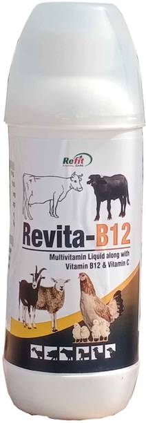 Horse - Buy Horse Online at Best Prices In India Horse - Buy Horse Online at Best Prices In India